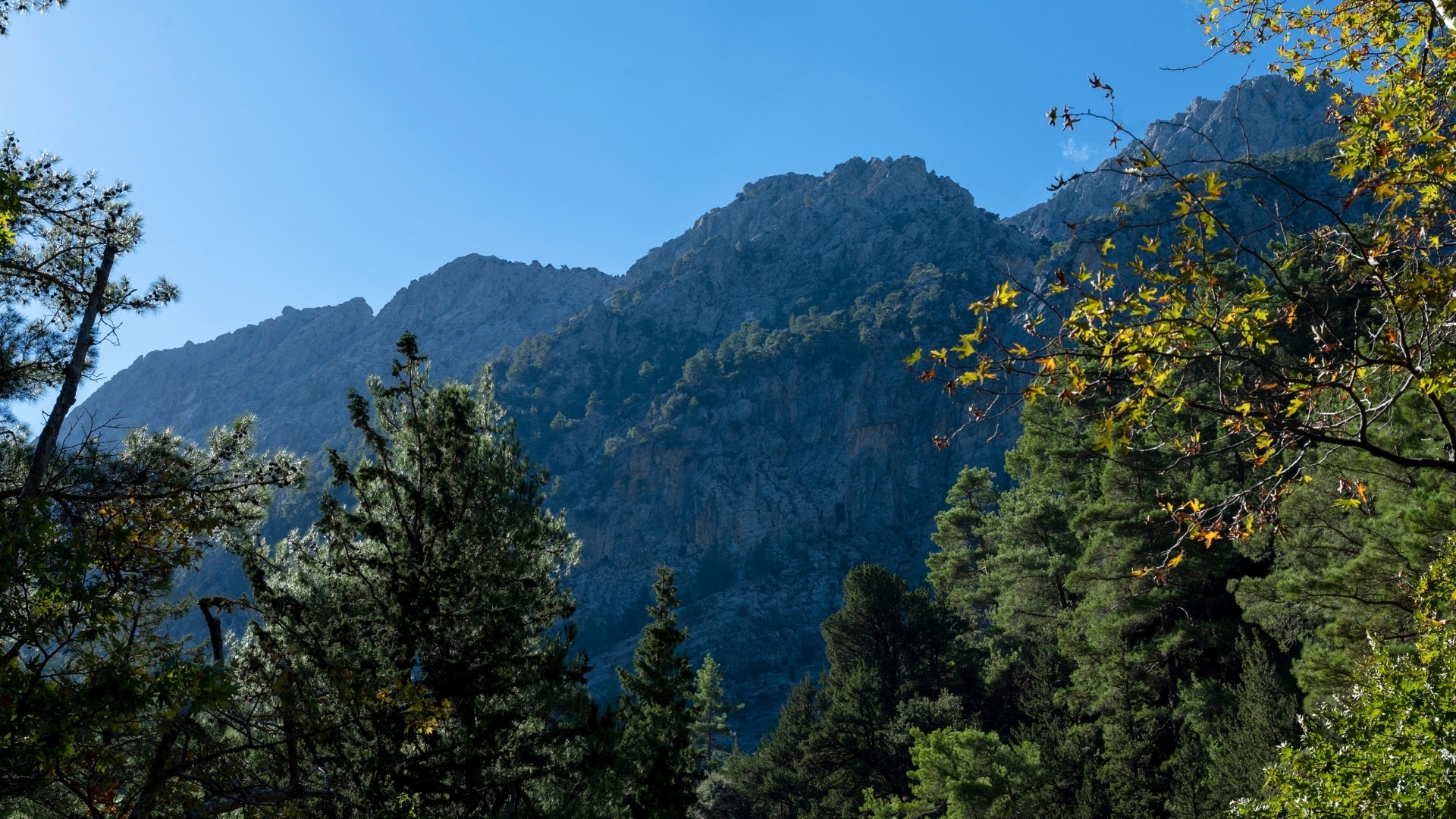 Perfect trails of Crete for hiking and exploration